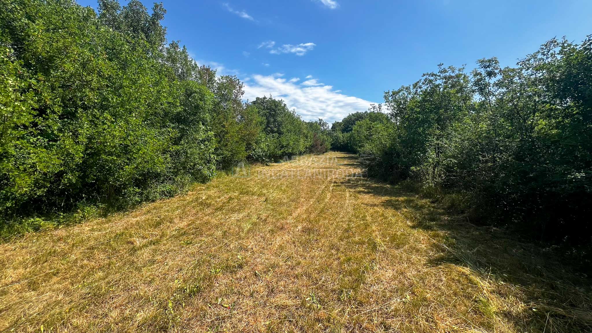 Land for Sale in Kras – Excellent Investment Opportunity Near the Building Zone