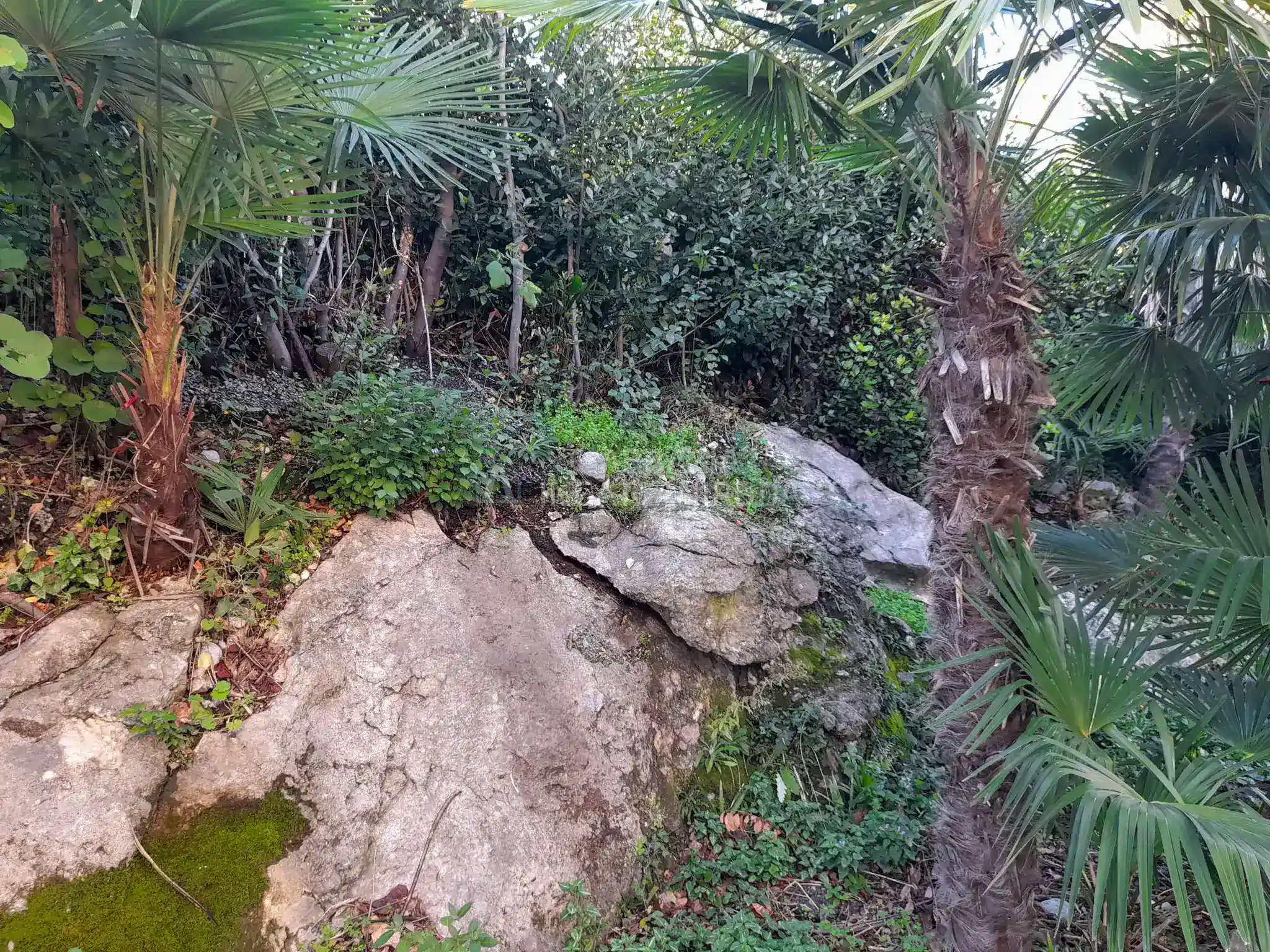 Opatija – Panorámás családi ház 5 percre a tengertől, kiemelkedő befektetési lehetőség